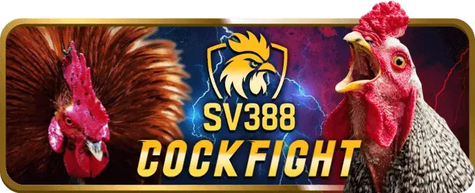 Liên hệ bộ phận hỗ trợ khách hàng của ok8386 casino