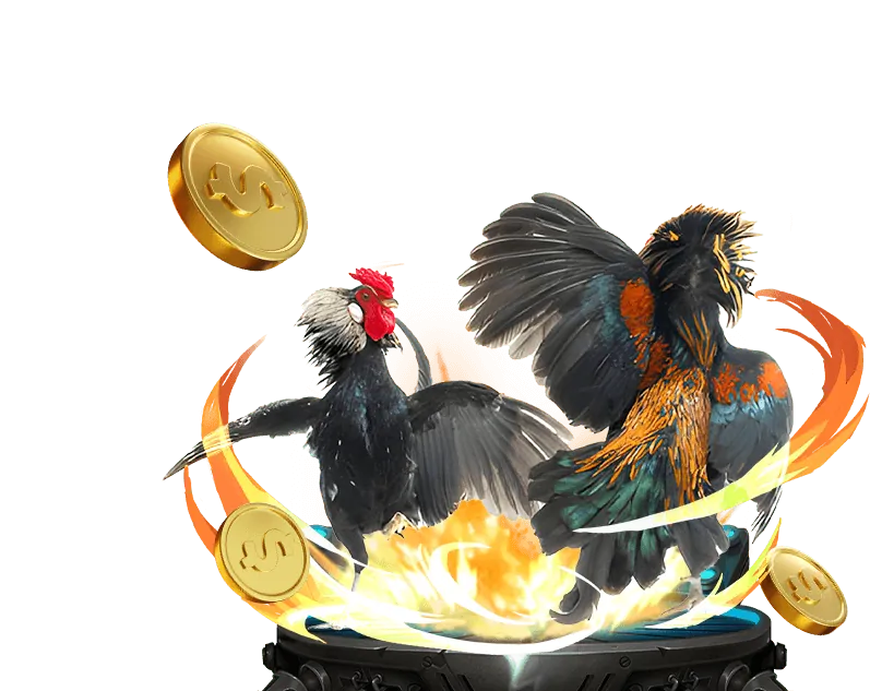 Tổng quan về ok8386 Casino